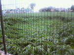 200707051158000.jpg