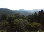 200708051357000.jpg